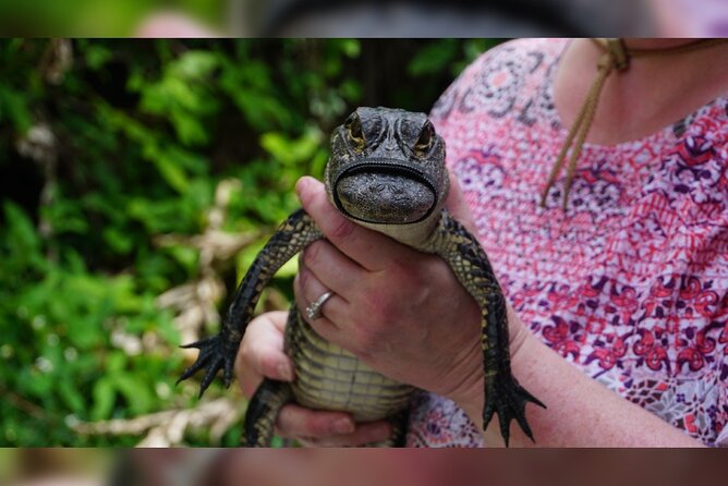 3-Day Miami Beach with Miami Bus/Boat Tour, Everglades and Keywest boat Tour - Critical Feedback and Tips for Future Participants
