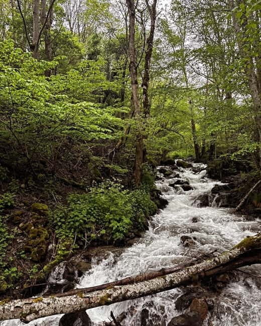 3-Day Monastery Tour: Rila, Bachkovo & Rozhen from Sofia - Frequently Asked Questions