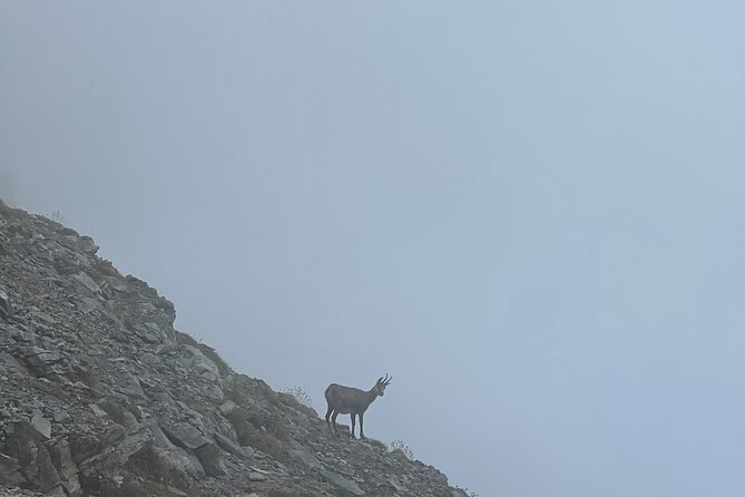 3-Day Olympus Hiking Adventure - Key Points