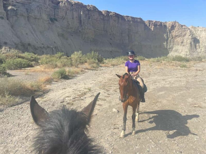 3-day pack: Horseback adventure in the Tabernas Desert - Practical Details: Group Size, Guides, and Cancellation Policies