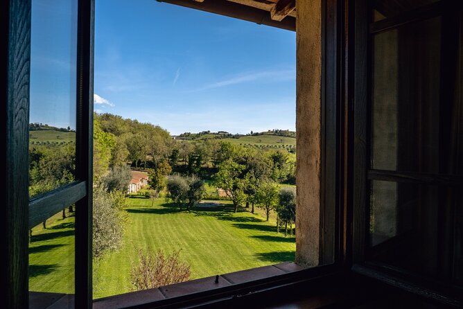 3-day private experience as a winemaker at a wine resort in Tuscany - The Comfort of the Executive Suite