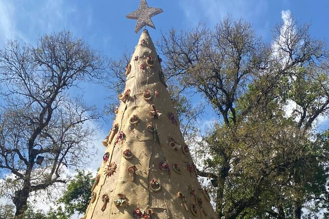3-Day Private Guided Tour of Monarch Butterflies in Michoacan - The Value of This Michoacán Butterfly Tour