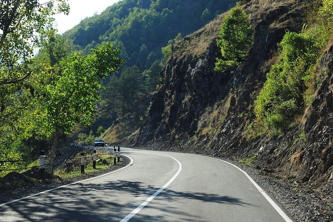 3-Day Private Mestia and Ushguli Tour from Tbilisi - Who Would Benefit Most from This Tour?