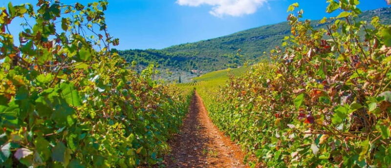 3-Day Private Tour Best of Peloponnese: Sparta & Monemvasia - Final Thoughts on the Peloponnese 3-Day Private Tour