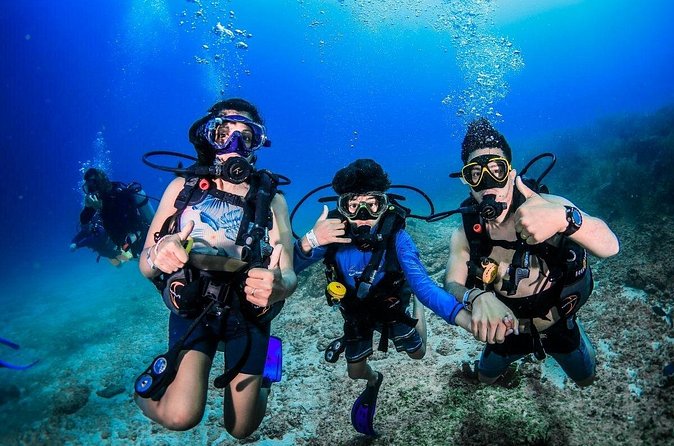 3 Day Scuba Diving Experience with 4 Immersion Courses - The Sum Up: A Practical Choice for Aspiring Divers in Cancun