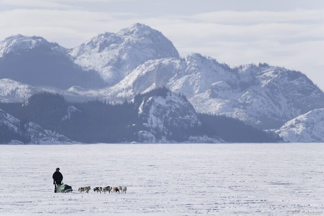 3-Day Ultimate Whitehorse Experience With Indigenous Culture - Thrilling Dog Sledding Across Pristine Snow-covered Wilderness