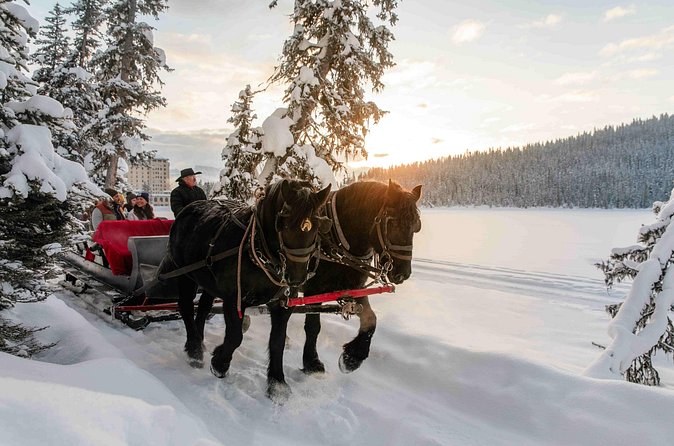 3 Day Winter Banff, Peyto Lake and Lake Louise, with Fairmont - Practical Considerations and Booking Details