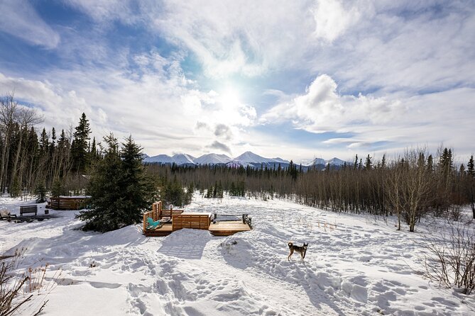 3-day Yukon Northern Lights Adventure - Arriving in Whitehorse and Exploring the Town