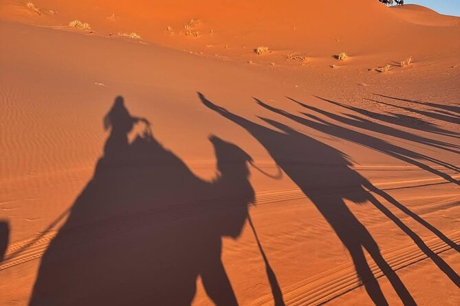 3 Days Desert Tour From Marrakech To Merzouga Dunes & Camel Trek - Camel Trekking at Erg Chebbi Dunes