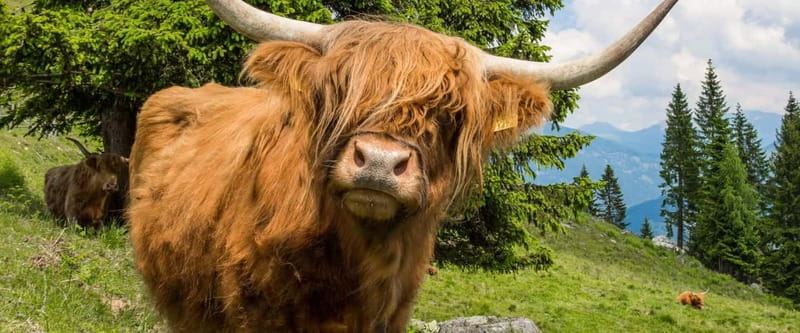 3 Days - Isle of Skye and Highlands Tour from Edinburgh - Day 2: Discovering the Wonders of Isle of Skye