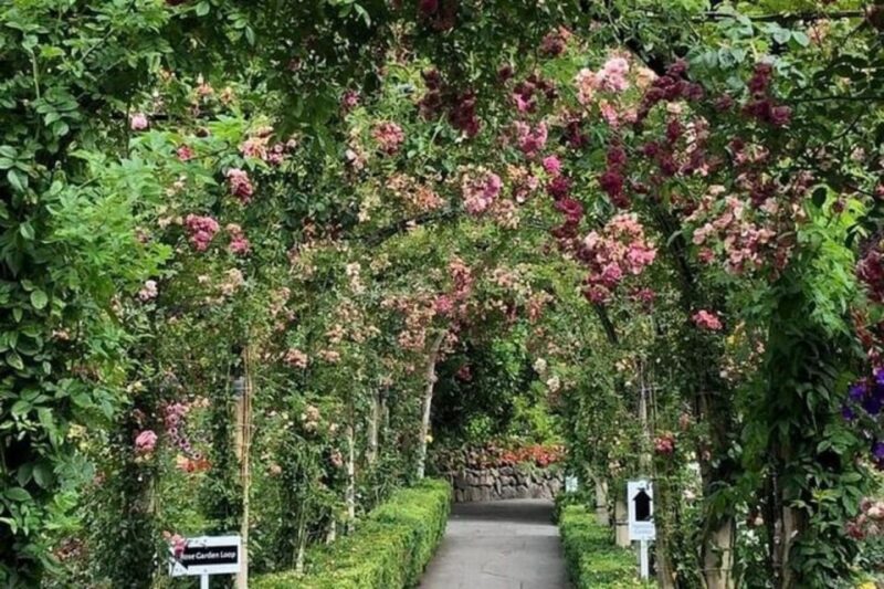 3 Days of Adventure in Vancouver Activities-Only Tour - Who Will Enjoy This Tour the Most