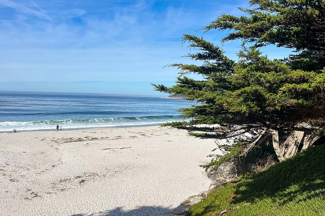 3 Days Private Pacific Tour to Big Sur Hearst Castle and more - Explore California’s Most Iconic Sights in 3 Days with Photravel Adventures