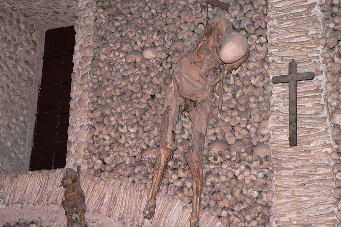 3 Days Private Tour In the Algarve from Lisbon - Practicalities: Transport, Pacing, and Included Services