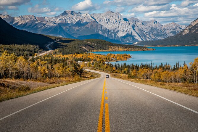 3 Hour Banff Safari Drive Evening Wildlife Viewing and Photo Tour - Practical Considerations: Booking and Weather