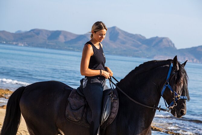 3-Hour Beach Horse Riding to Discover the Beauty of Alcudia Bay - Key Points