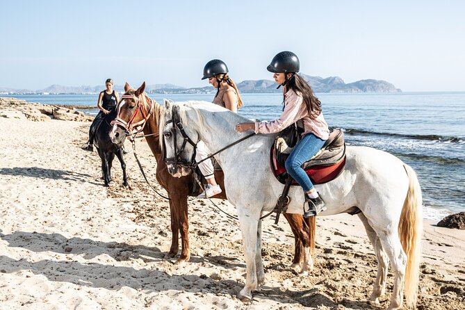 3-Hour Beach Horse Riding to Discover the Beauty of Alcudia Bay - The Experience with Specialized Guides and Trained Horses