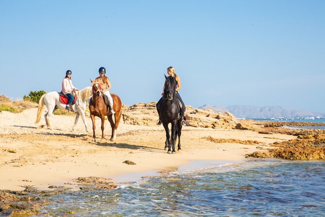 3-Hour Beach Horse Riding to Discover the Beauty of Alcudia Bay - The Landscape: From Beaches to Pine Forests