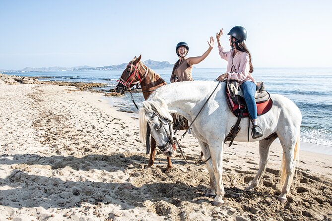 3-Hour Beach Horse Riding to Discover the Beauty of Alcudia Bay - The Pace and Physical Demands of the Ride