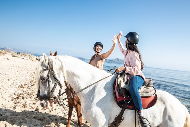 3-Hour Beach Horse Riding to Discover the Beauty of Alcudia Bay - The Review Highlights: Views, Value, and Guide Assistance