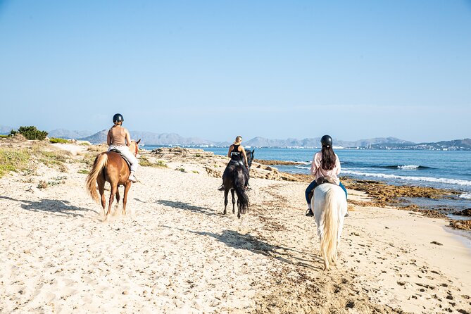 3-Hour Beach Horse Riding to Discover the Beauty of Alcudia Bay - What Makes This Tour Unique Compared to Other Mallorca Activities