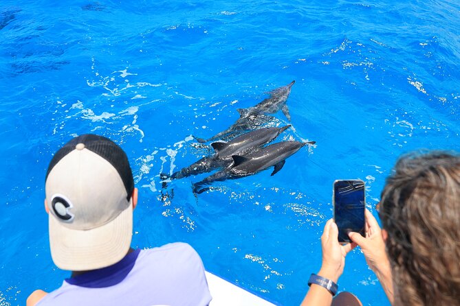 3 Hour Big Island Dolphin Watch Boat Tour, Snorkeling & BBQ Lunch - Who Should Choose This Tour