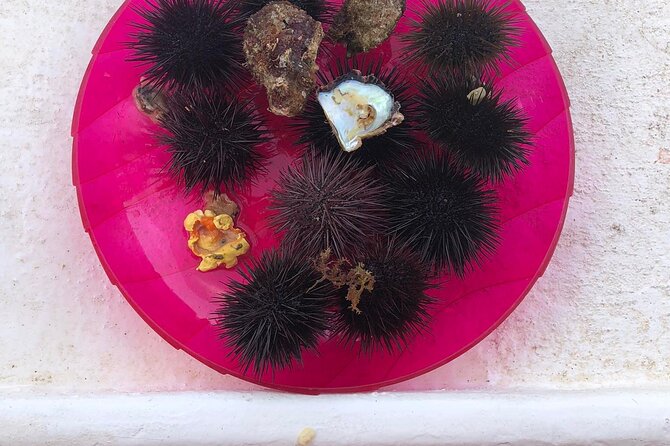 3-hour boat tour - Visiting Ladiko Beach: Crystal Clear Waters in 20 Minutes