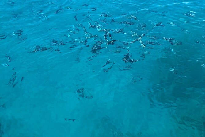 3-hour boat tour - Practicalities: Group Size, Booking and Cancellation