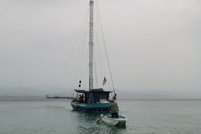 3 Hour Boat Tour in Messina - Key Points