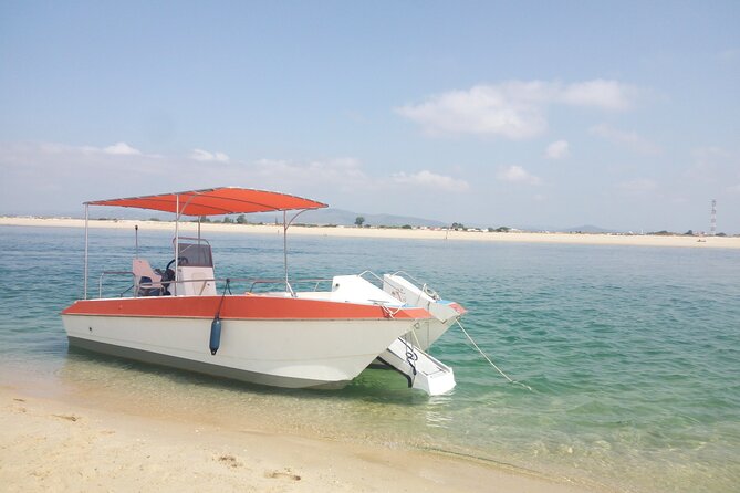 3 Hour Boat Tour in Ria Formosa - Starting Point and Tour Schedule in Faro