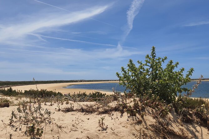3 Hour Boat Tour in Ria Formosa - Practical Details and Accessibility