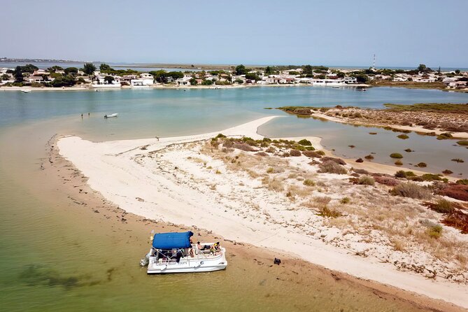 3-Hour Boat Tour in Ria Formosa on Olhão Algarve - The Guide’s Expertise and Multilingual Support