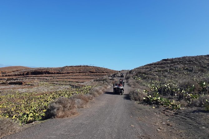 3-hour Buggy Tour from Costa Teguise - Safety and Group Size
