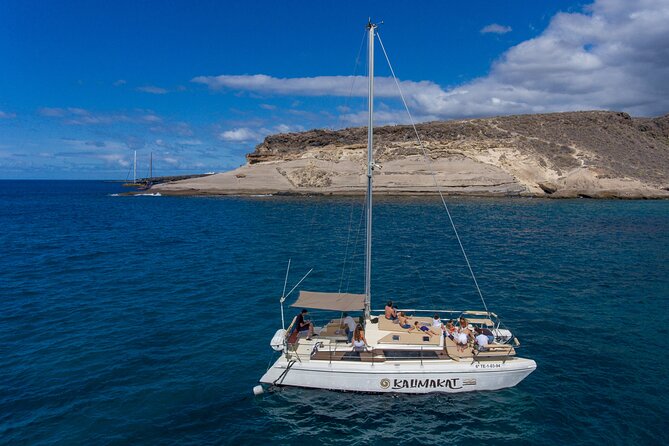 3-hour catamaran excursion along the Costa Adeje - The Route: From Puerto Colón to Coastal Highlights