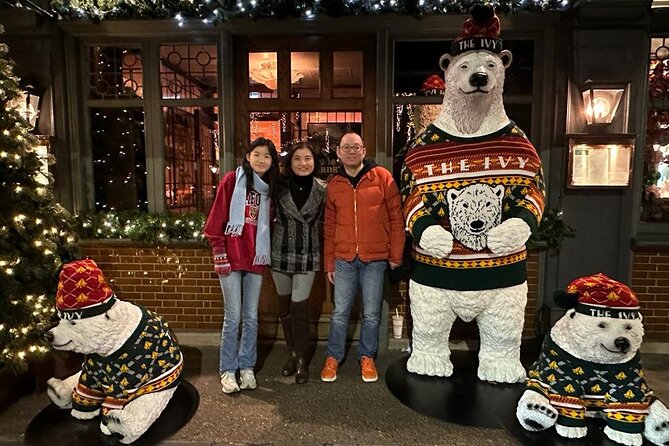 3-Hour Christmas Lights and Markets London Taxi Tour - Practical Details and Accessibility