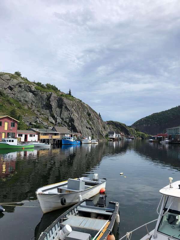 3 hour City Tour of St. John's, small group up to ten quests - Quidi Vidi Village: A Charming Fishing Community