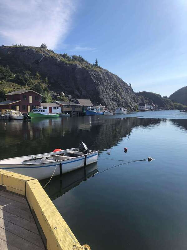 3 hour City Tour of St. John's, small group up to ten quests - Jellybean Row: Iconic Colorful Houses
