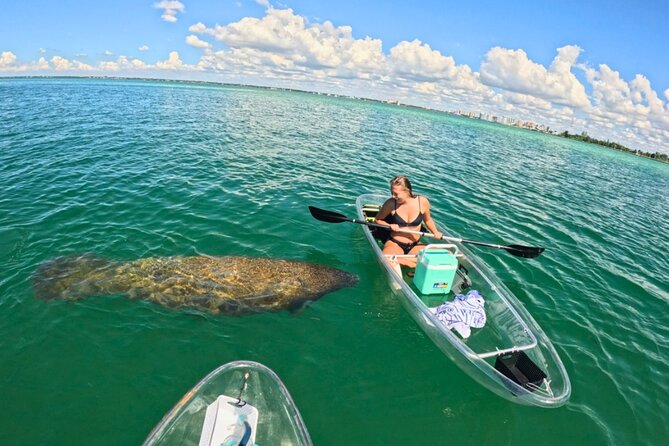 3-Hour Clear Kayak Beach Hopping Adventure in Sarasota - Explore Sarasotas Gulf Coast on a 3-Hour Clear Kayak Beach Hopping Adventure