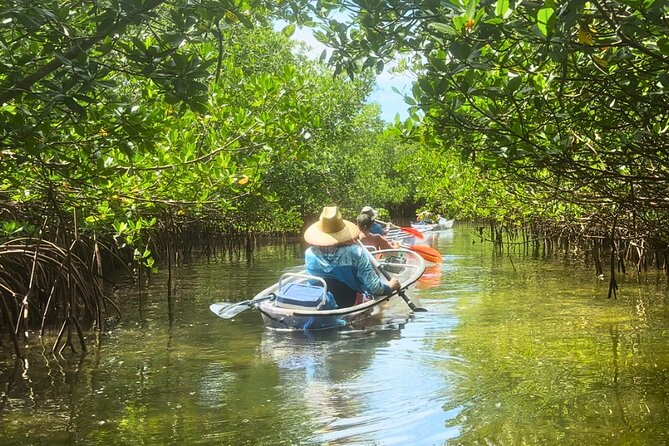 3-Hour Clear Kayak Beach Hopping Adventure in Sarasota - Sarasota’s Gulf Coast: The Starting Point for Adventure