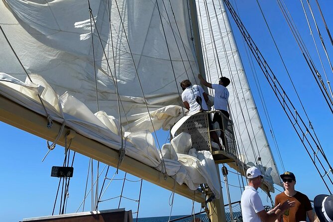 3 Hour Cruise Experience from Vilamoura - Onboard Amenities and Refreshments