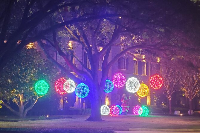 3 Hour December Holiday Lights Tour - Refresh Break at Central Market