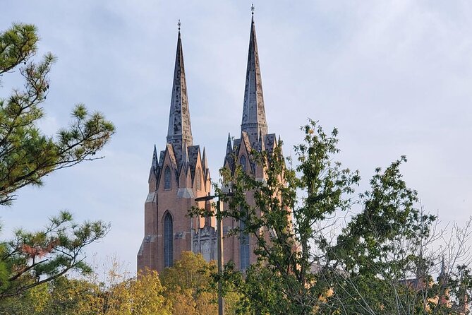 3 Hour December Holiday Lights Tour - What Makes This Tour Stand Out