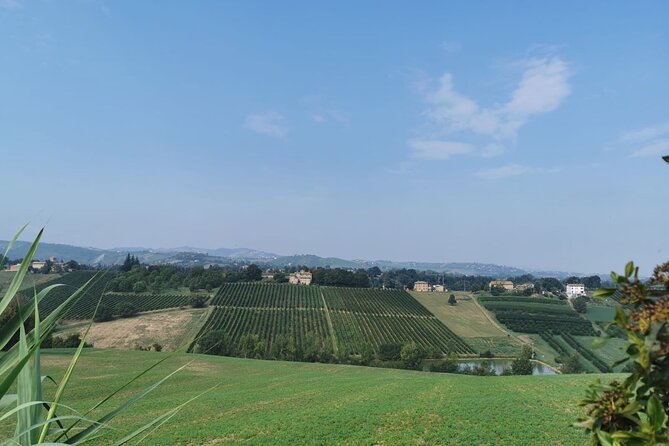 3 Hour E-bike Tour with Parmesan and Balsamic Vinegar - Visiting the Balsamic Vinegar Production Facility