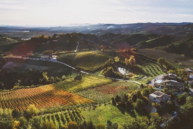 3 Hour E-bike Tour with Parmesan and Balsamic Vinegar - Professional Guides and Personalized Service