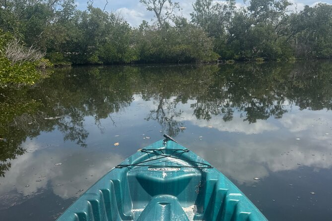 3 hour E.G. Simmons Park Mangrove Tunnel Tour - Discover the 3-Hour E.G. Simmons Park Mangrove Tunnel Tour in Tampa