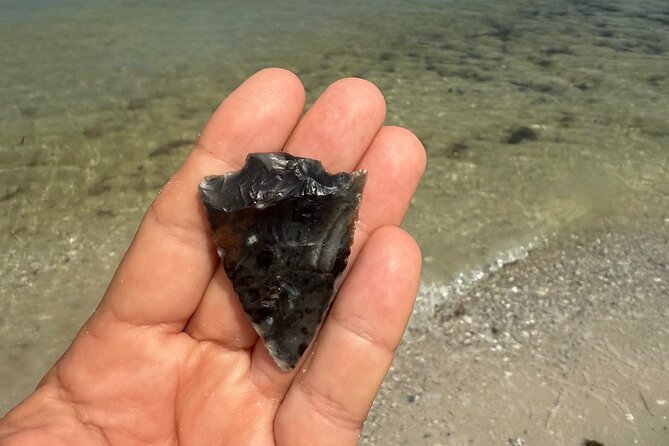 3 hour E.G. Simmons Park Mangrove Tunnel Tour - Starting Point at E.G. Simmons Conservation Park