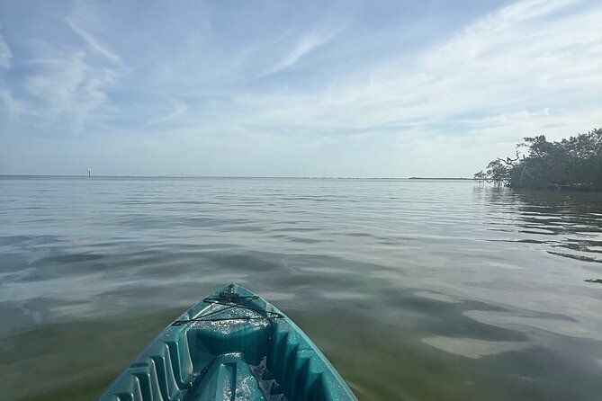 3 hour E.G. Simmons Park Mangrove Tunnel Tour - Group Size and Guide Personalization