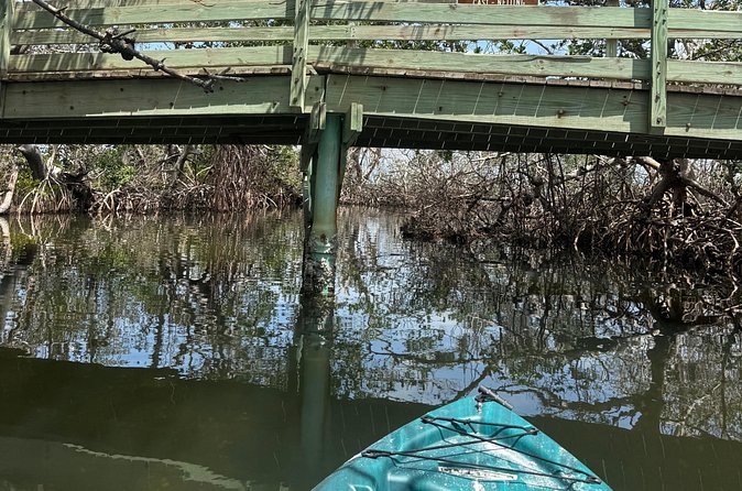 3 hour E.G. Simmons Park Mangrove Tunnel Tour - Weather Policy and Cancellation Options