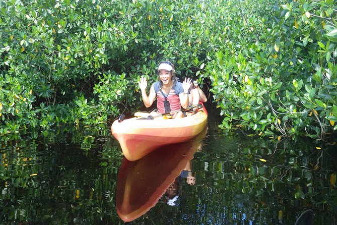 3 Hour Guided Mangrove Tunnel Kayak Eco Tour - Wildlife Encounters and Photo Opportunities