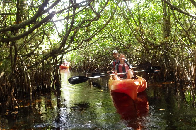 3 Hour Guided Mangrove Tunnel Kayak Eco Tour - Weather and Cancellation Policies
