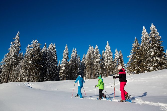 3-Hour Guided Snowshoeing Adventure in the Slovenian Alps - Discover the Snowshoeing Adventure in Slovenia’s Alps